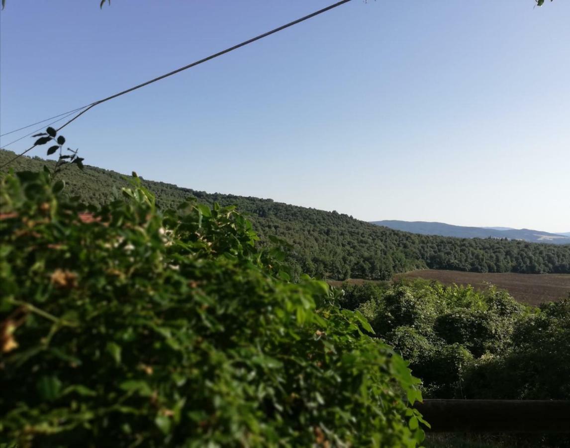 Il Fienile Nella Roccia Guest House Casole d'Elsa Exterior photo