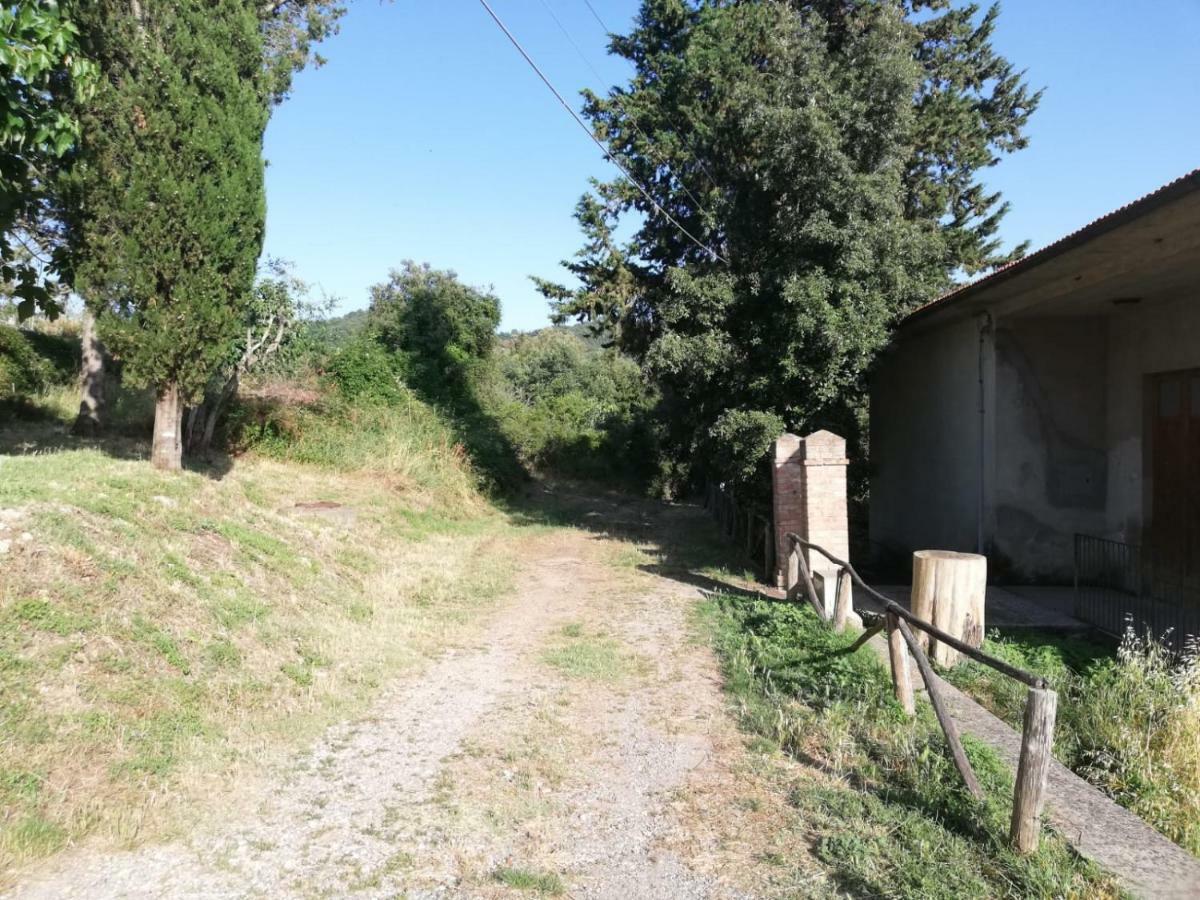 Il Fienile Nella Roccia Guest House Casole d'Elsa Exterior photo