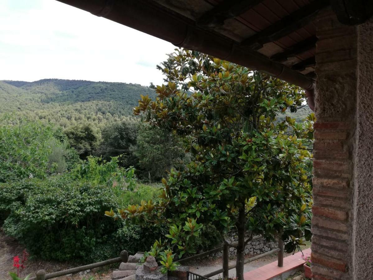 Il Fienile Nella Roccia Guest House Casole d'Elsa Exterior photo