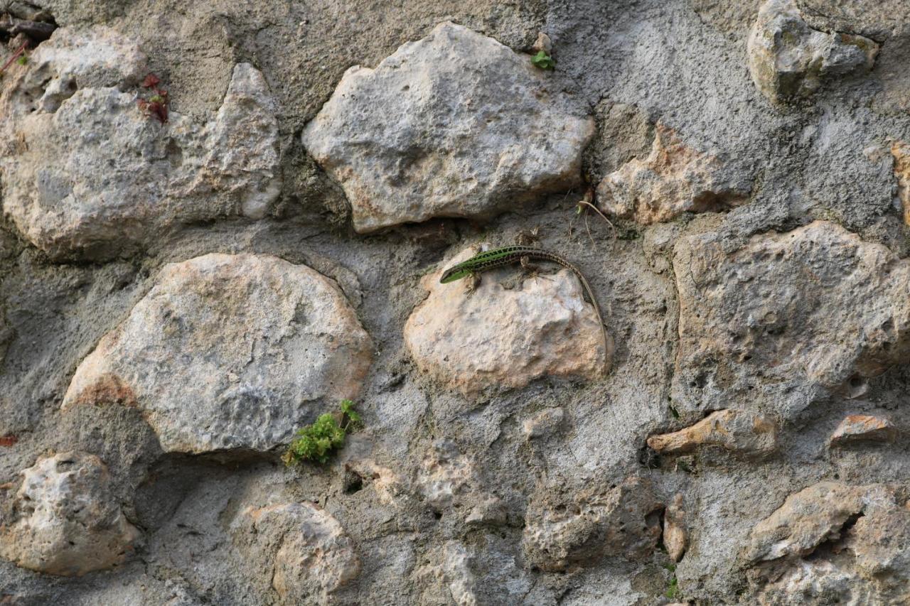 Il Fienile Nella Roccia Guest House Casole d'Elsa Exterior photo